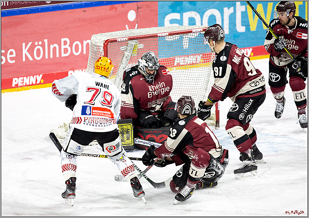 PENNY DEL;  Koelner Haie - Fischtown Pinguins Bremerhaven; Koeln, 12.02.2021